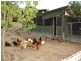 79  Pringles Road, Martinsville NSW 2265