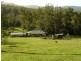 79  Pringles Road, Martinsville NSW 2265