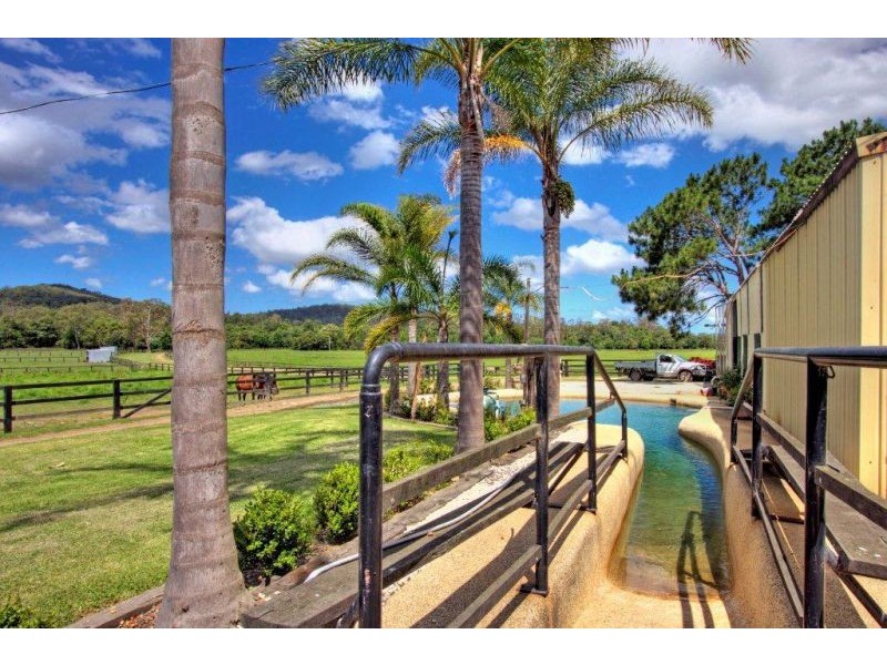 495 Jilliby Road, Jilliby NSW 2259