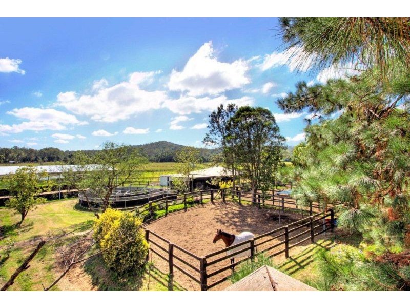 495 Jilliby Road, Jilliby NSW 2259