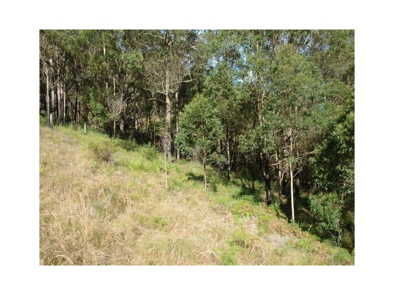 Yarramalong NSW 2259