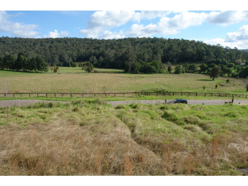 Lot 41 Robinvale Lane, Yarramalong NSW 2259