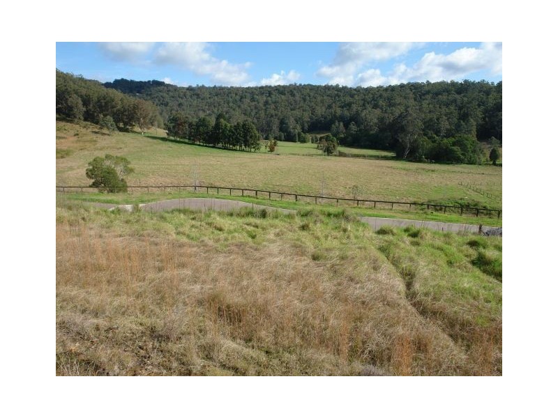 Lot 41 Robinvale Lane, Yarramalong NSW 2259