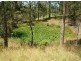 242  Jilliby Road, Jilliby NSW 2259