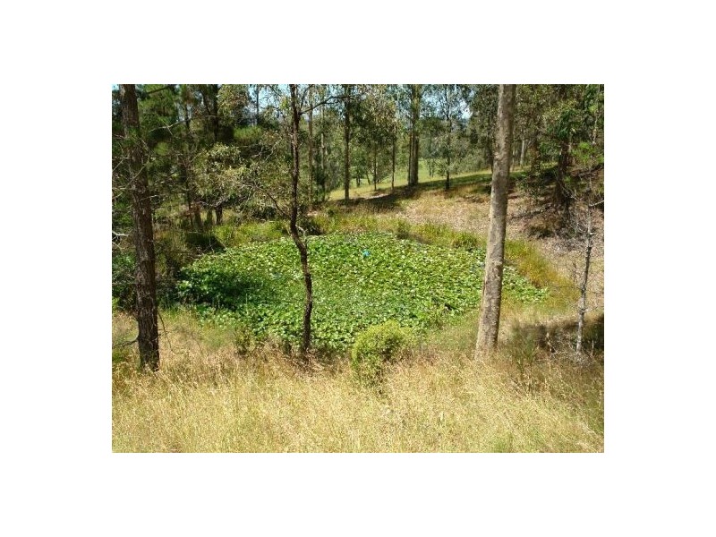 242  Jilliby Road, Jilliby NSW 2259