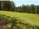 242  Jilliby Road, Jilliby NSW 2259