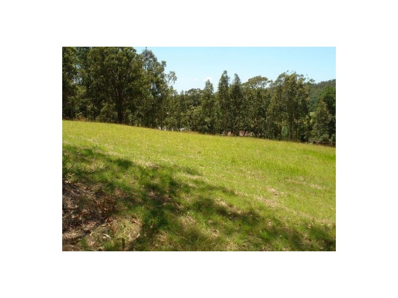 242  Jilliby Road, Jilliby NSW 2259