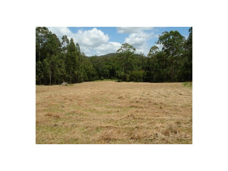 242  Jilliby Road, Jilliby NSW 2259