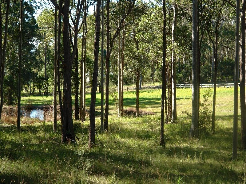 20 Brothers Road, Little Jilliby NSW 2259