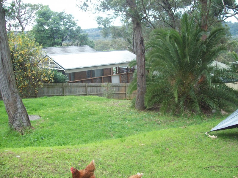 51 Tumbi Road, Tumbi Umbi NSW 2261