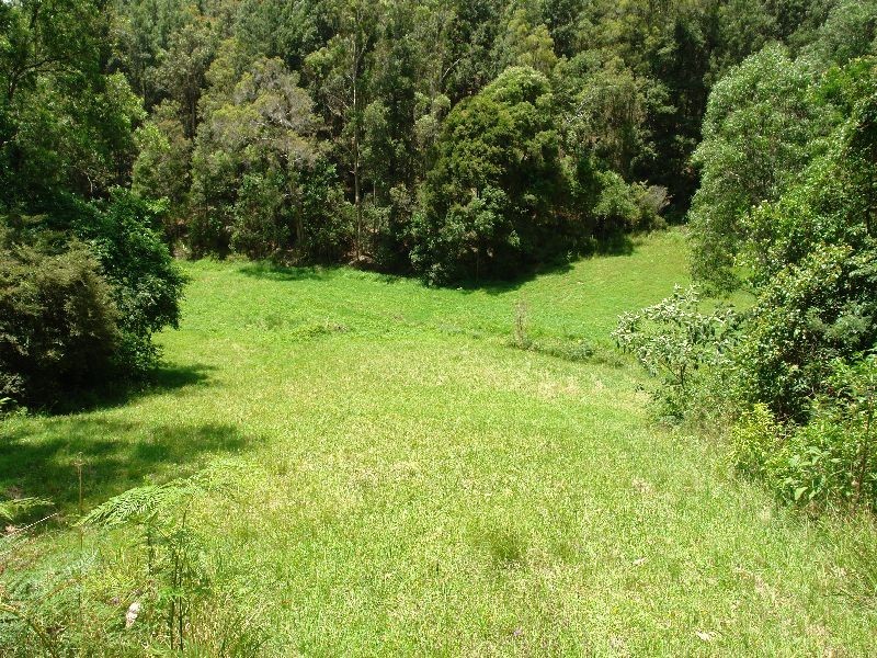 288 Bunning Creek Road, Yarramalong NSW 2259