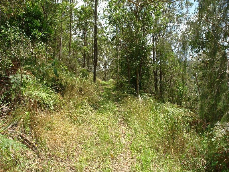 288 Bunning Creek Road, Yarramalong NSW 2259
