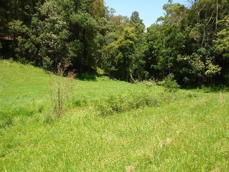288 Bunning Creek Road, Yarramalong NSW 2259