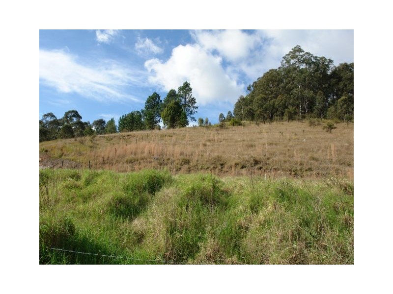 Yarramalong NSW 2259