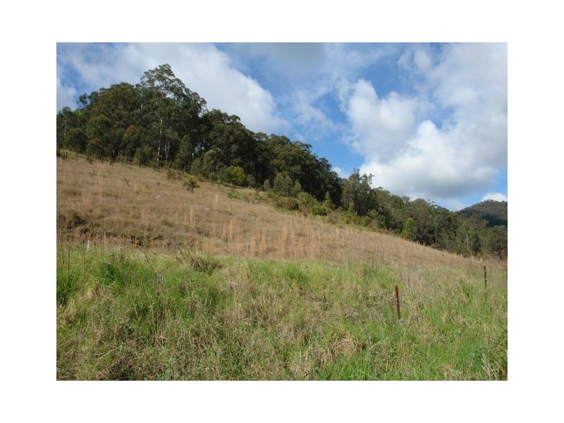 Yarramalong NSW 2259