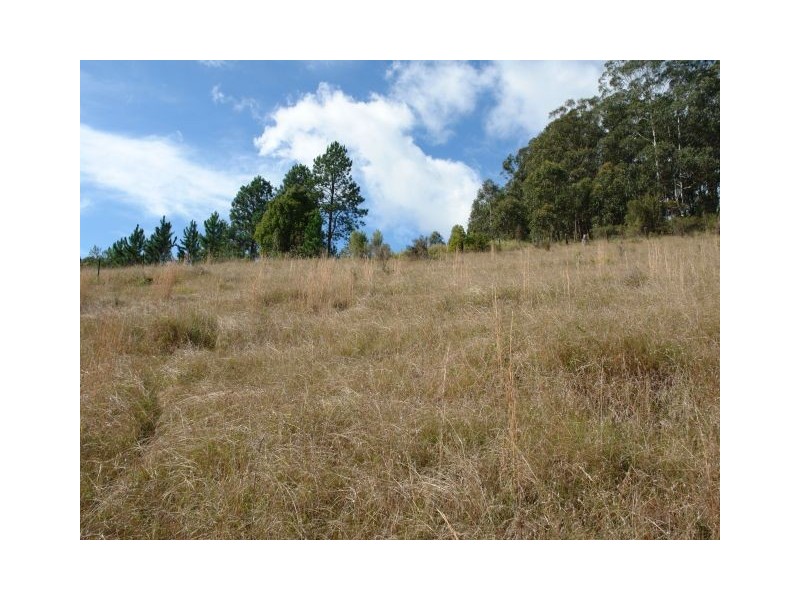 Yarramalong NSW 2259