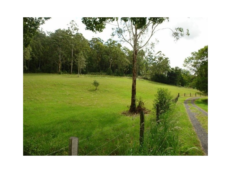 Lot 9008 Yarramalong Road, Yarramalong NSW 2259