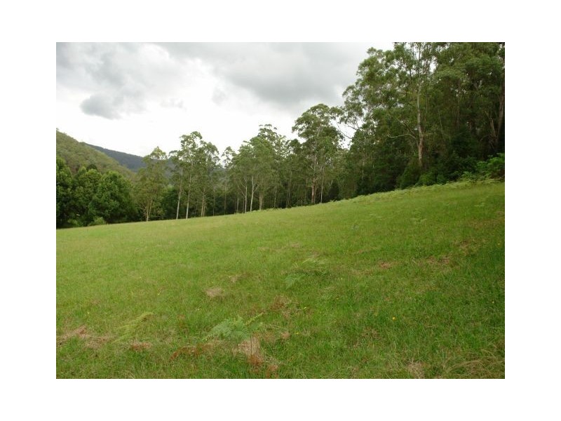 Lot 9008 Yarramalong Road, Yarramalong NSW 2259