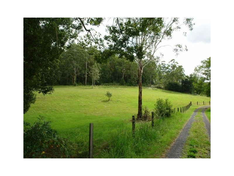 Lot 9008 Yarramalong Road, Yarramalong NSW 2259