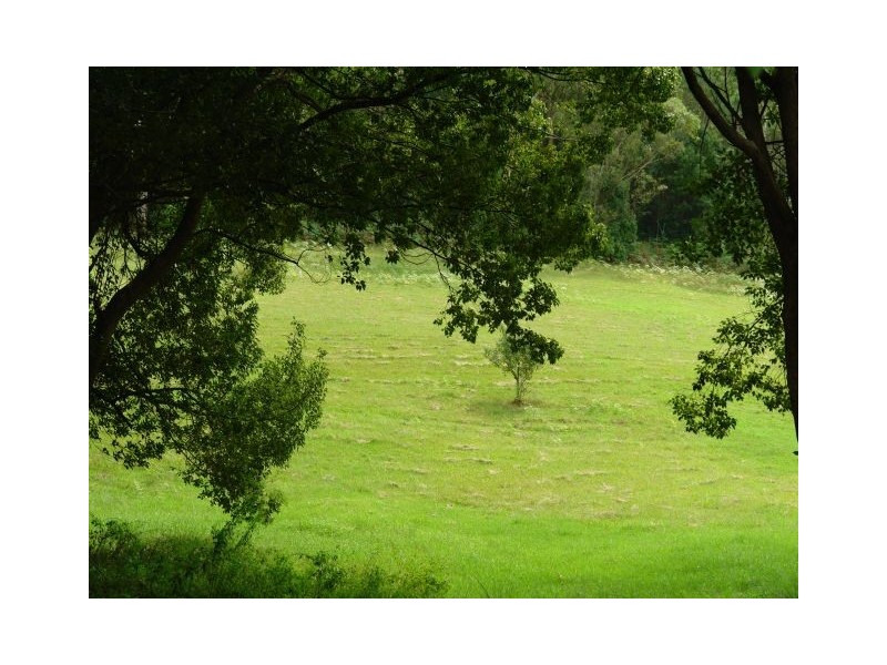 Lot 9008 Yarramalong Road, Yarramalong NSW 2259