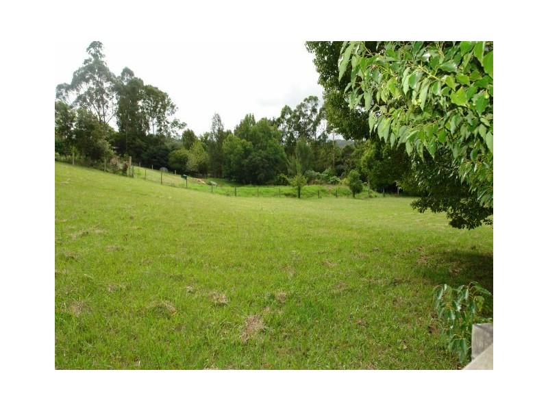 Lot 341 Yarramalong Road, Yarramalong NSW 2259