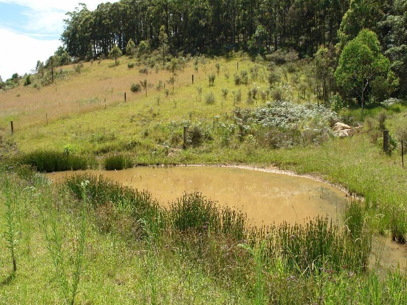 Lot 5 Robinvale Lane, Yarramalong NSW 2259