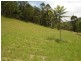 288  Bunning Creek Road, Yarramalong NSW 2259