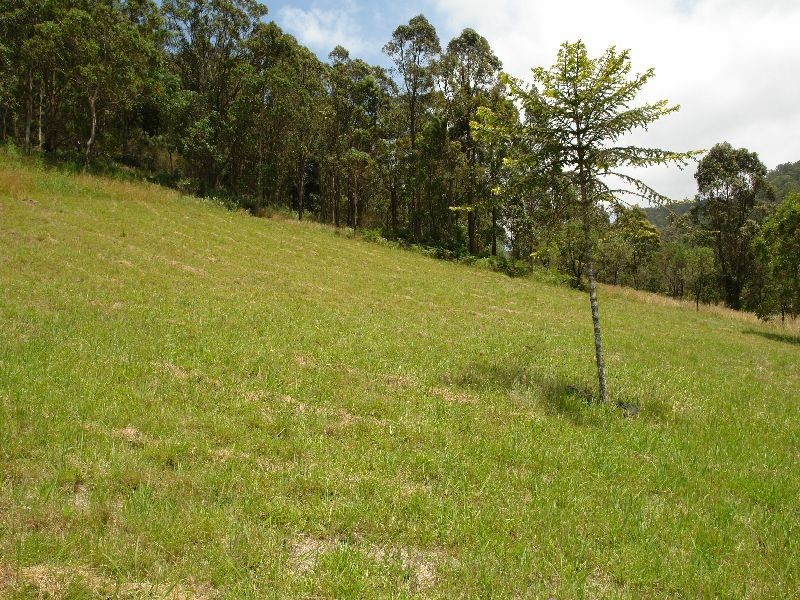 288  Bunning Creek Road, Yarramalong NSW 2259