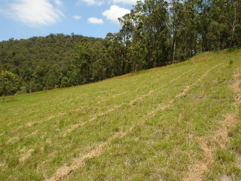 288  Bunning Creek Road, Yarramalong NSW 2259
