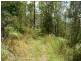 288 Bunning Creek Road, Yarramalong NSW 2259
