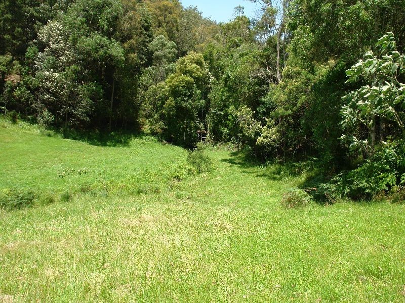 288 Bunning Creek Road, Yarramalong NSW 2259