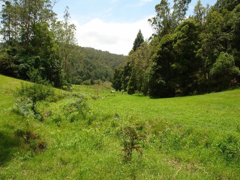 288 Bunning Creek Road, Yarramalong NSW 2259