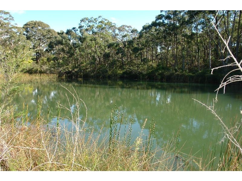 199 Berecry Road, Mangrove Mountain NSW 2250