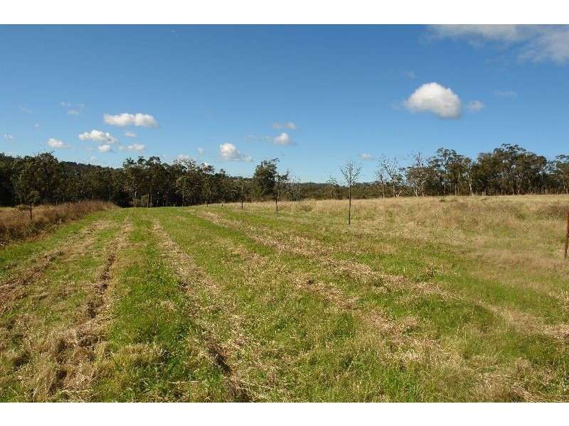 199 Berecry Road, Mangrove Mountain NSW 2250