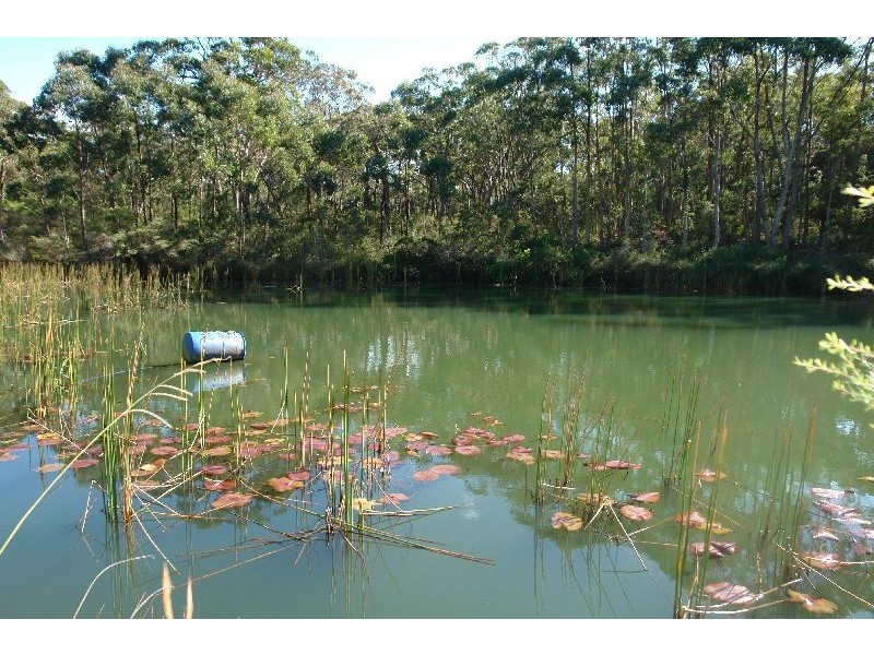 199 Berecry Road, Mangrove Mountain NSW 2250