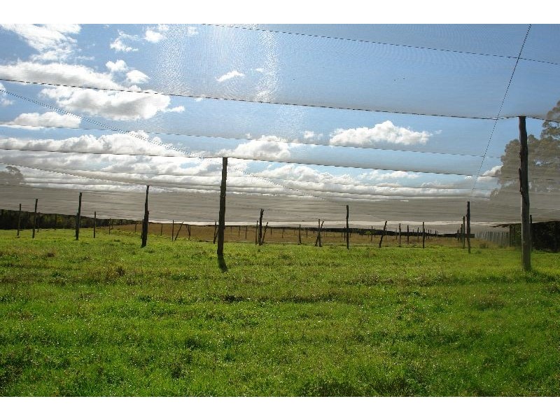 199 Berecry Road, Mangrove Mountain NSW 2250