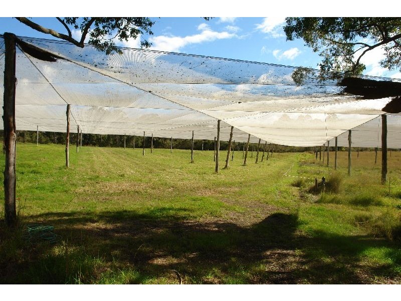 199 Berecry Road, Mangrove Mountain NSW 2250