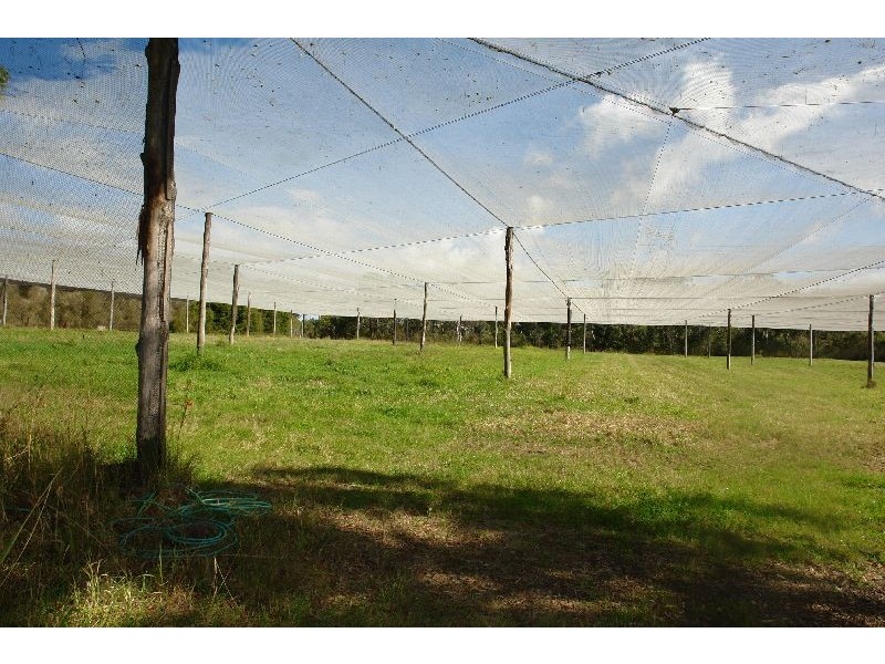 199 Berecry Road, Mangrove Mountain NSW 2250