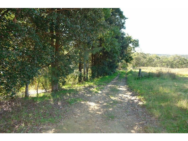 199 Berecry Road, Mangrove Mountain NSW 2250