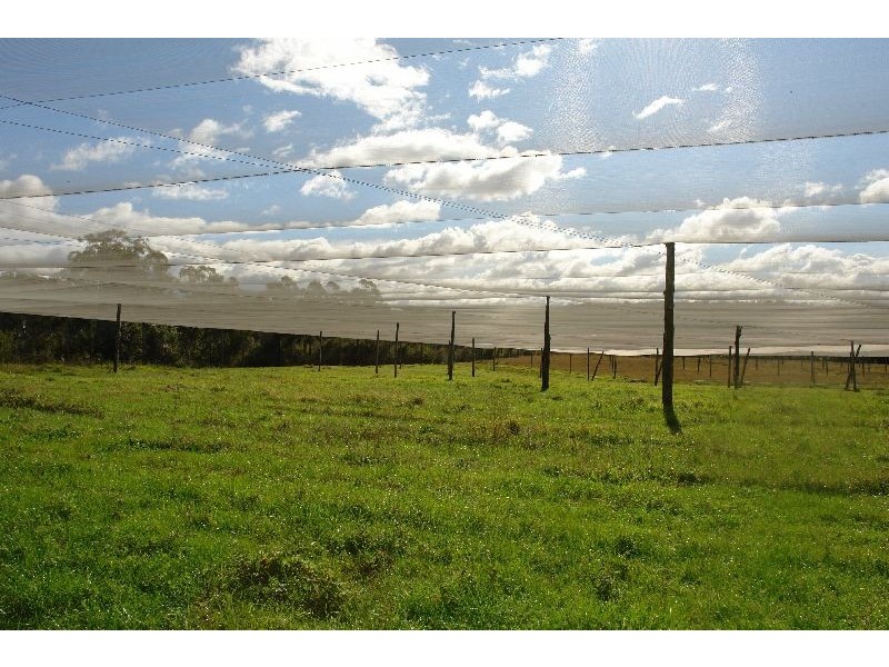 199  Berecry Road, Mangrove Mountain NSW 2250