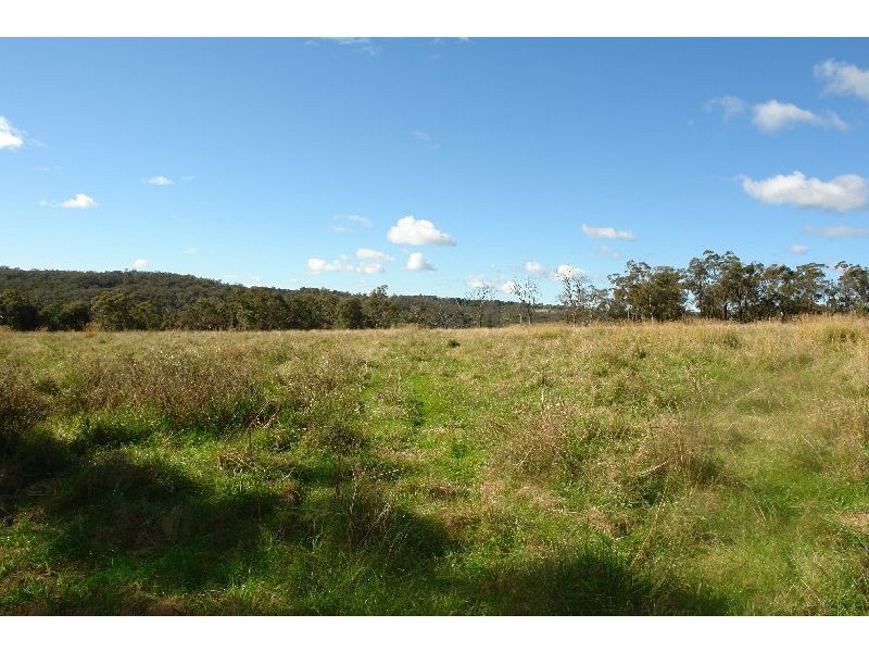 199  Berecry Road, Mangrove Mountain NSW 2250