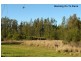 45 Hillcrest Ave, Tacoma NSW 2259