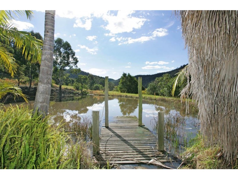 Lot 235 Williams Lane, Jilliby NSW 2259