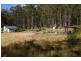 4 Pedaman Place, Jilliby NSW 2259