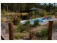 4 Pedaman Place, Jilliby NSW 2259