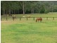 413  Yarramalong Road, Wyong Creek NSW 2259