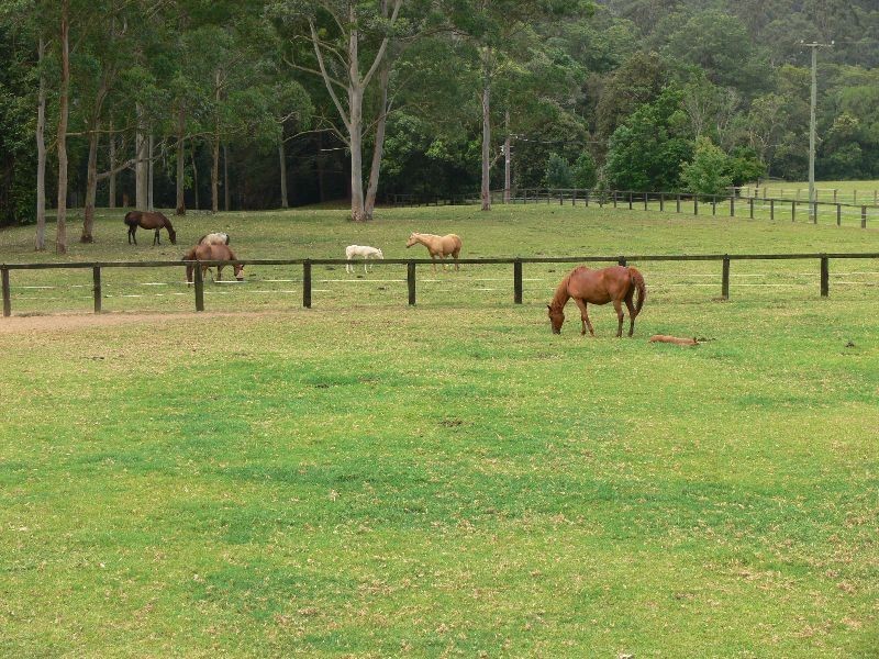 413  Yarramalong Road, Wyong Creek NSW 2259