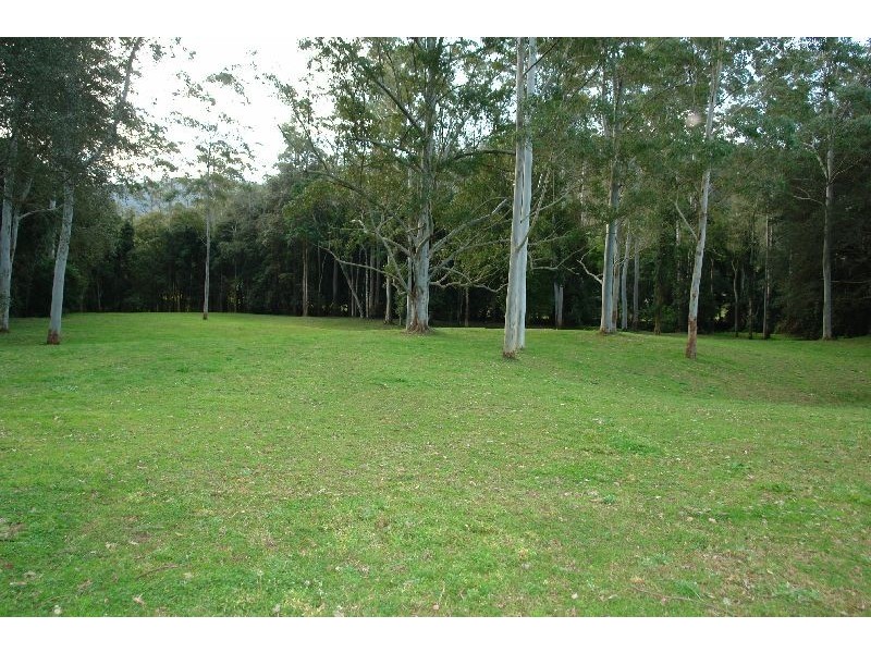 413  Yarramalong Road, Wyong Creek NSW 2259