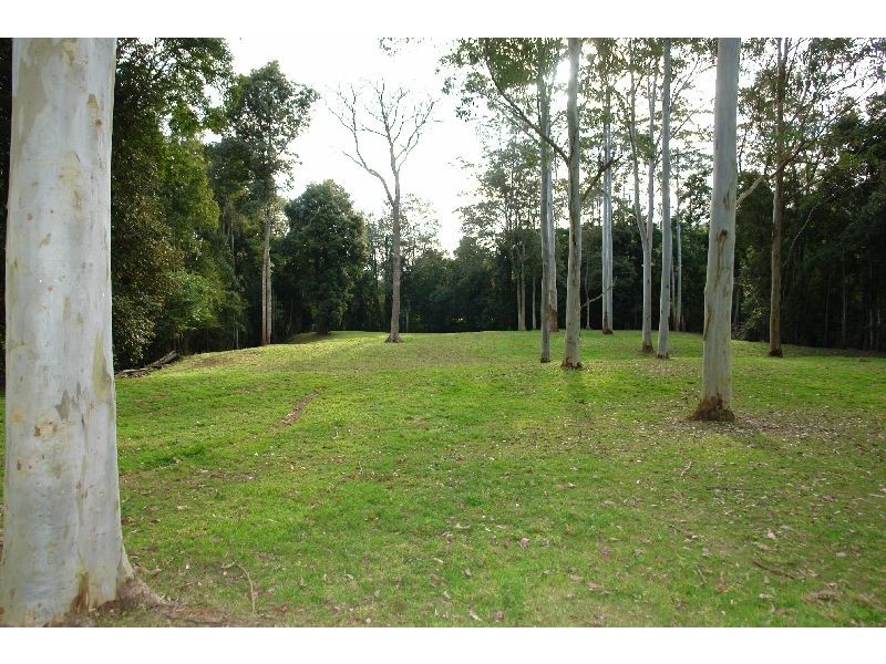413  Yarramalong Road, Wyong Creek NSW 2259