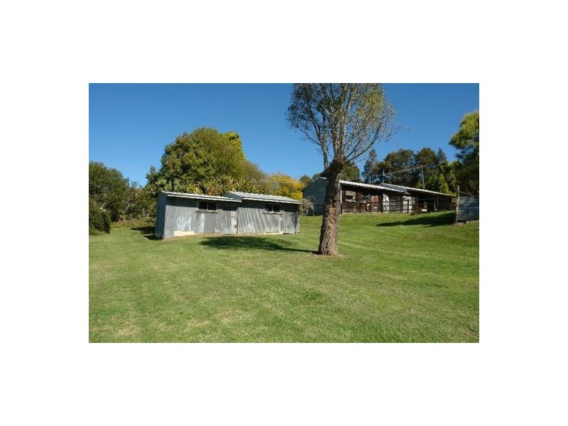 39 Cape Road, Wyong NSW 2259